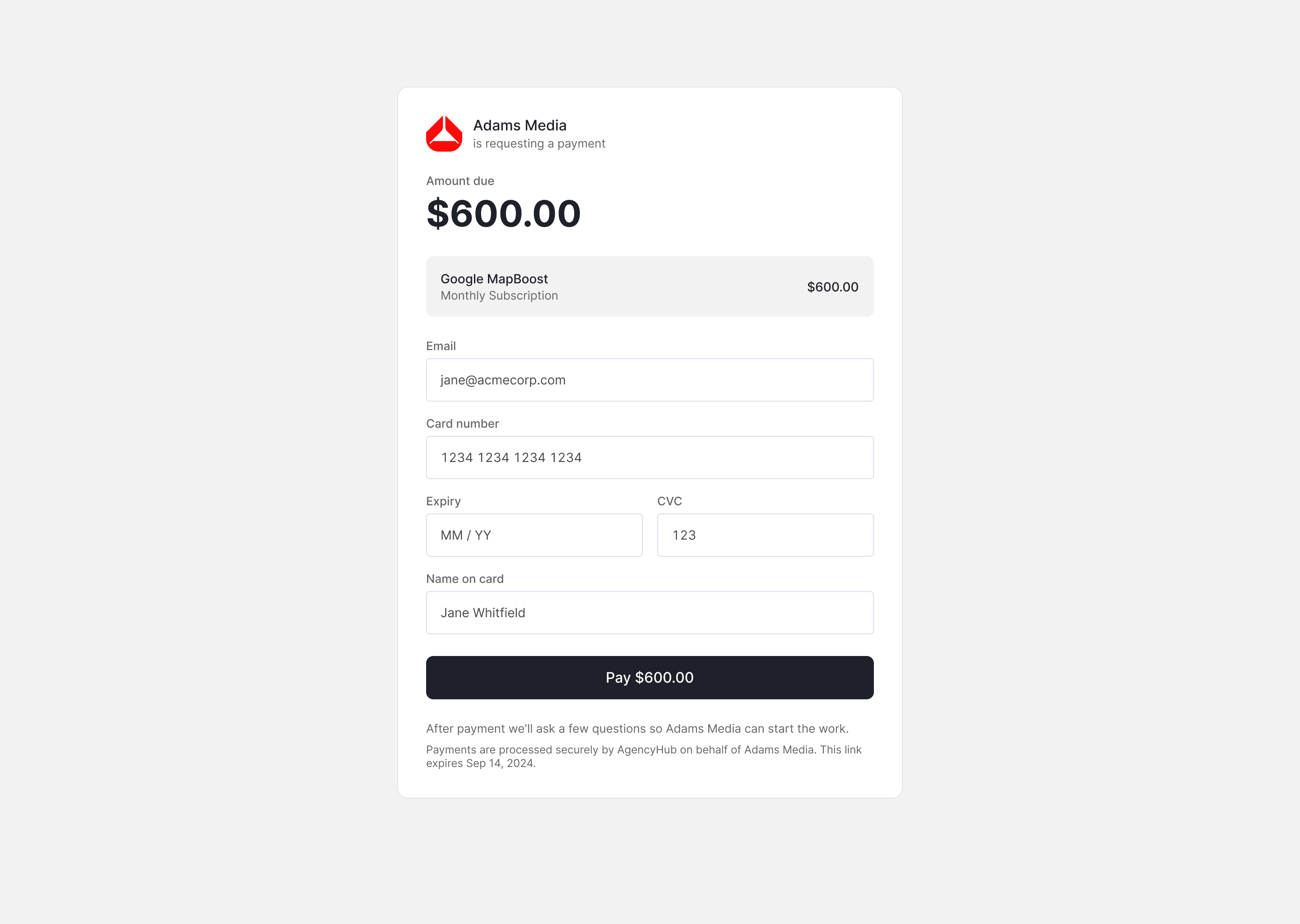 Client payment page with the agency's branding and no platform navigation